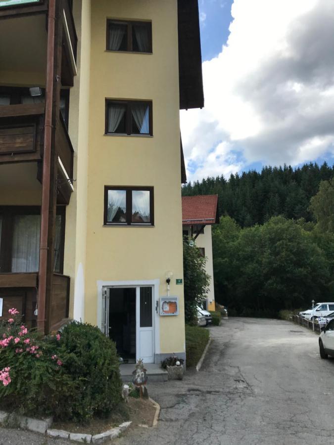 Eisenstein Apartment Bayerisch Eisenstein